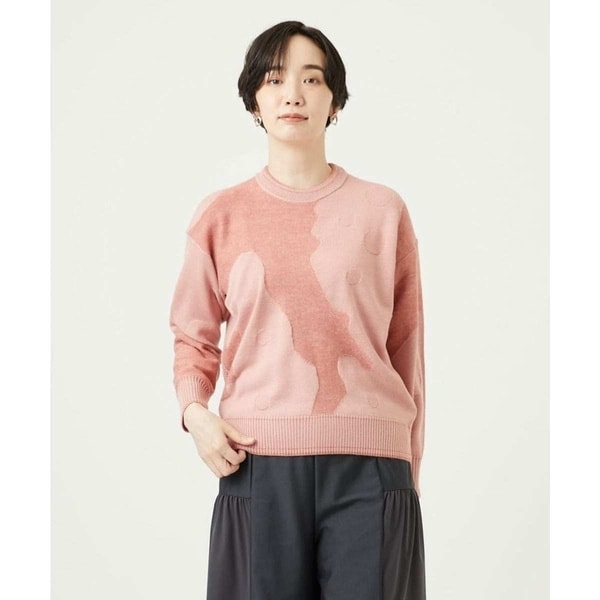 [}C][􂦂]C^[VC^AWK[hjbg/WjEEWfB`FiGIANNI LO GIUDICEj sN