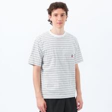 バッキンガムベア ランダムボーダー ワンポイントTシャツ