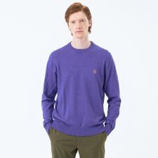 バッキンガムベア 綿ウール天竺 クルーネックプルオーバーニット