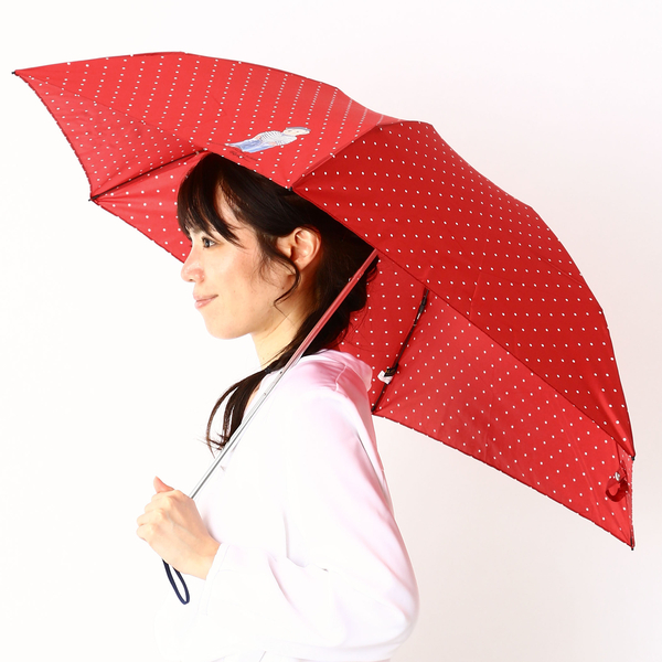 雨傘（長傘）【軽量/カーボン骨】ドット/ベアー（レディース） | ポロ