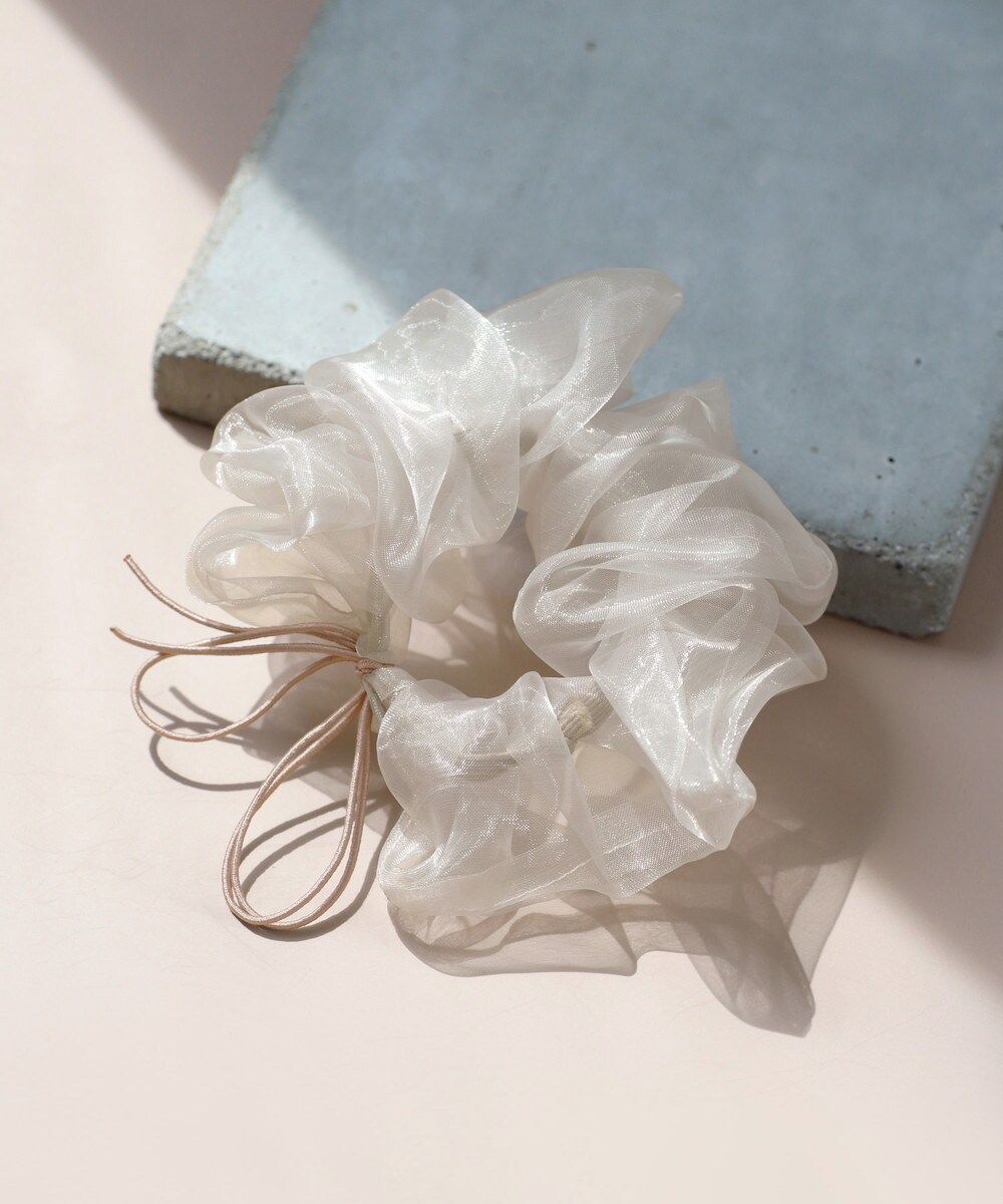 [�}���C]���{��×�V�A�[�V���V��/�A�l���l�iANEMONE�j �s���N