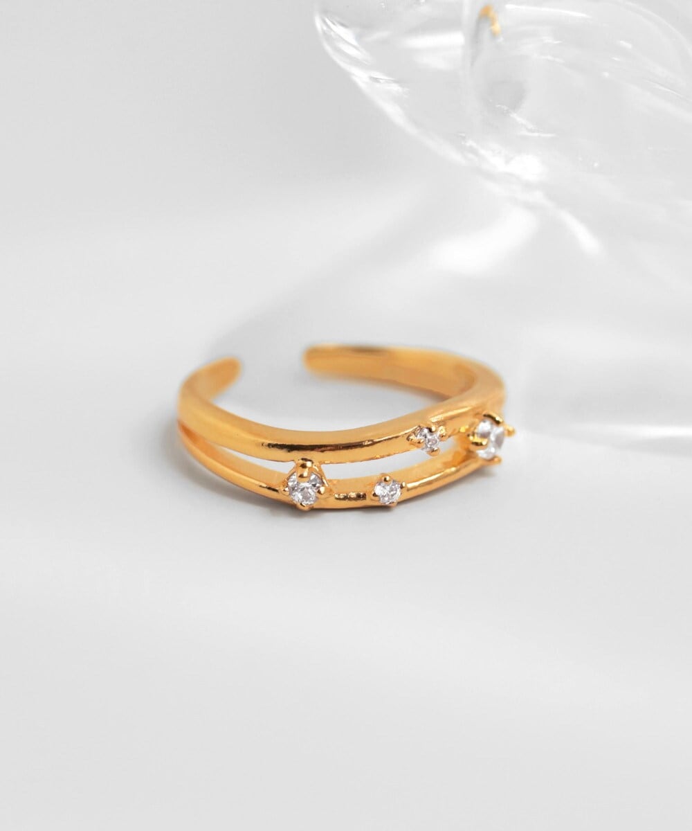 [�}���C]�_�u�����C���r�W���[�����O[�W�����r�W���[]/�A�l���l�iANEMONE�j �S�[���h