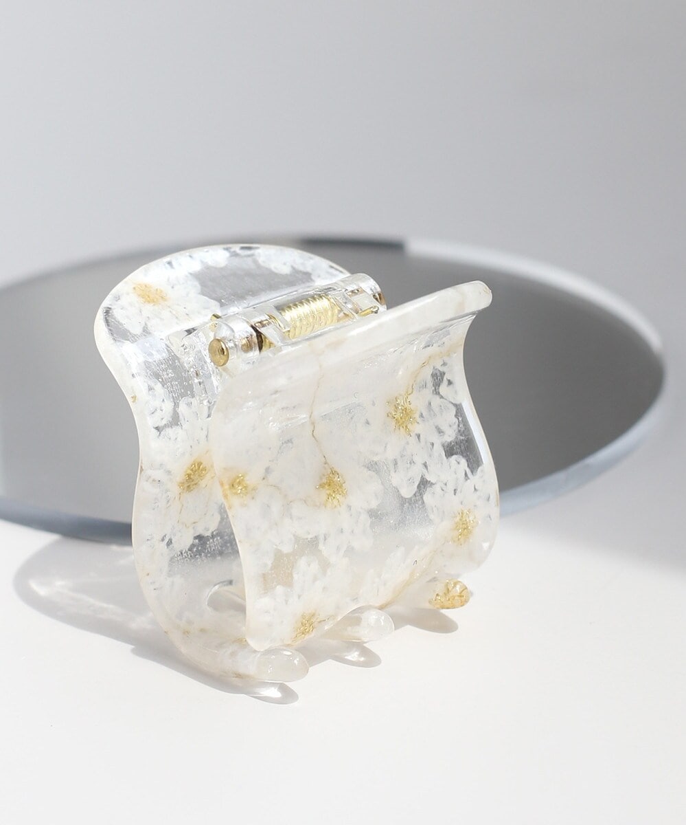 [�}���C]�t�����[���o���X/�A�l���l�iANEMONE�j �z���C�g