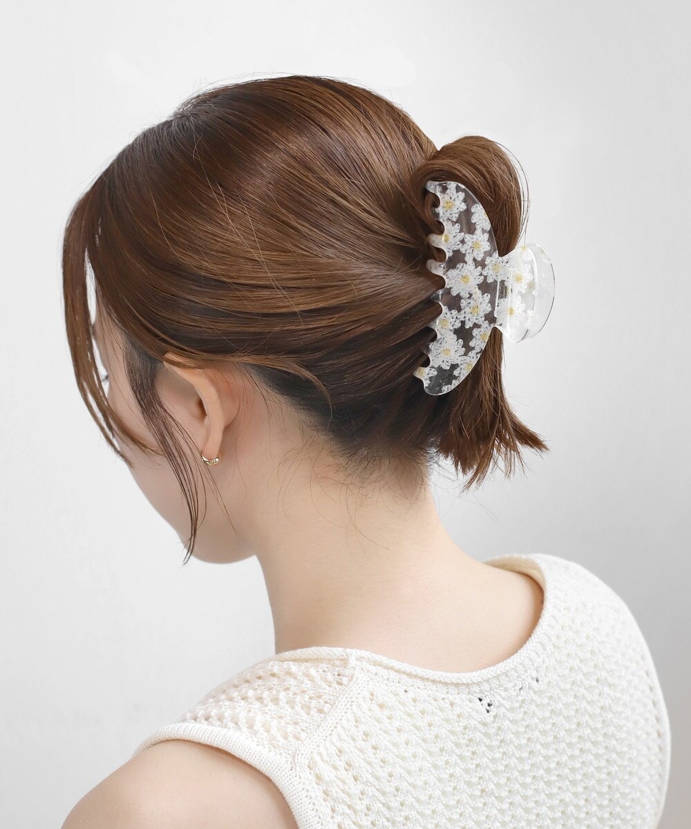 [�}���C]�t�����[���o���X/�A�l���l�iANEMONE�j �z���C�g