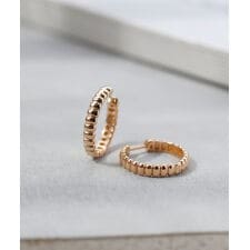 シエナロゼ(SIENA ROSE)のROSETEN・スプリングスナップピアス [M]