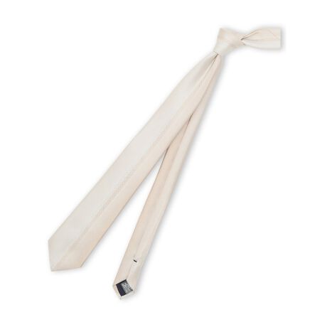 [^ԁF110304733405523]^JL[Y/TAKA-Q:MEN i[^C 7.0cmfޓiȌ򊴂ƔF͂̃|GXengpĂ܂BvŖщHVɋ܂BfUC匕̒Sɕό`璹iq̃CACɌăOf[VplfUCB[hȕ͋CYi[^CAZX̌܌oĂ܂BIX^C̃^ChAbv畁igYڃR[fBl[g܂ŃIItpő劈B`[t^CsAhXVcƍ킹ăMtgɂ߂̃ACełBVGbgV[vŃX^CbVȈۂ̃i[^C(匕7cm~S145cm)łBѕ̓v[Embg̊tdɂ_umbgɂ̂ԂłBіڂӂ傫Acɂł̂Ō݂o܂BR[fBl[gאg̃X[cWPbgAV[vȋ܌^̃VcƑQłB̓񎟉p[eB[Ȃǂ̃Z~tH[}AlwZsȂǂ̃Zj[V[̃hXAbvɂœKłBWJJ[:O[Ex[W*AeV^OEl[mF̏Ap͎舵B*̓ꏊ⍂ɂȂꏊł̕ۊǂ͔ĉB*gp̗LɊւ炸AoN򉻂͐is܂̂łB*nْ̍fED@ɂAʐ^Ɠl̕oȂꍇ܂B*{foCXEɂ莿EFɌ덷ꍇ܂B*TCY\ɋLڂ̐@͎\LƂȂAiɕt̉DɋLڂ̐@Ƃ͈قȂꍇ܂B *îCɓo^ @n[g}[NNbN܂傤IJ[̍ēגʒmAXg1_̒ʒmAZ[̒ʒmm点܂B *uĥCɓo^ @ ViēׂȂǁAȏ󂯎邱Ƃł܂B(marui ̃KChQƂ)