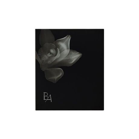 [^ԁFB2540014]ACgAbv̂悤ȃndオ(*)vXgpE_[̐pP[XłB(*)CNAbvʂɂ́P[XEz_[^1큄