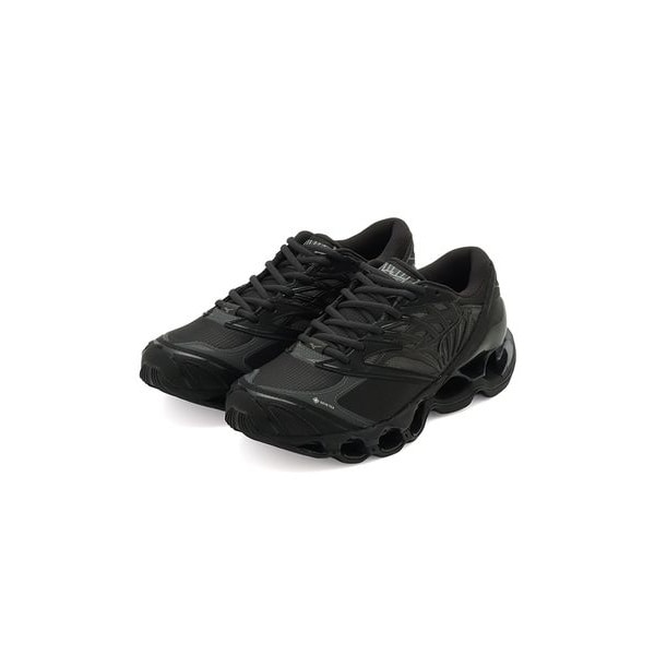 [�}���C]�yMizuno�zWAVE PROPHECY LS GTX/�G�~�iemmi�j BLK