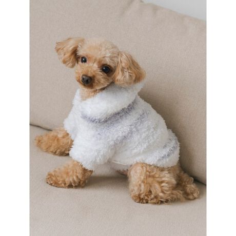 CAT&DOG】【販路限定商品】ジェラートランダムボーダーフ―ディー 