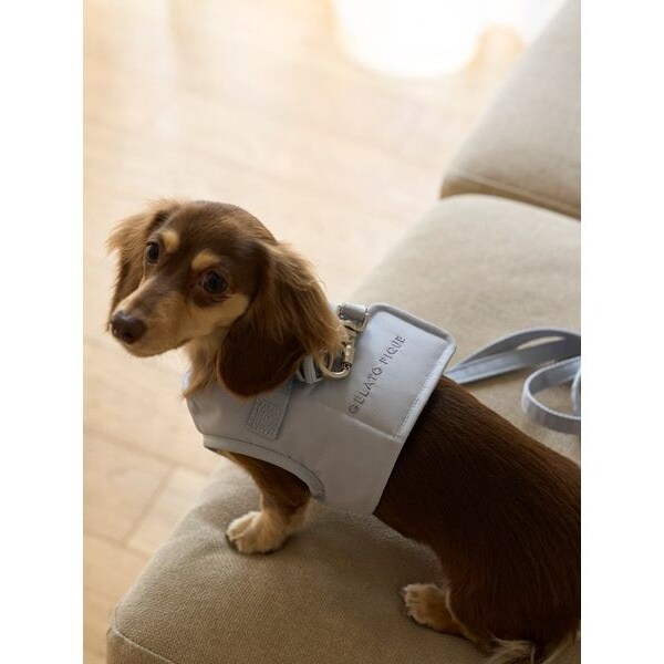 GELATO PIQUE Sサイズ ハーネス・リード、首輪、ジョイント4点セット GELATO PIQUE Sサイズ ハーネス・リード、首輪、ジョイント4点セット