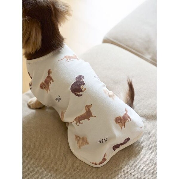 正規品♡DOG柄プルオーバー＆ロングパンツ♡ダックス 正規品♡DOG柄プルオーバー＆ロングパンツ♡ダックス