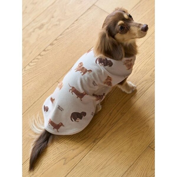 正規品♡DOG柄プルオーバー＆ロングパンツ♡ダックス Amazon.co.jp: [ジェラートピケ キャットアンドドッグ] CAT&DOG