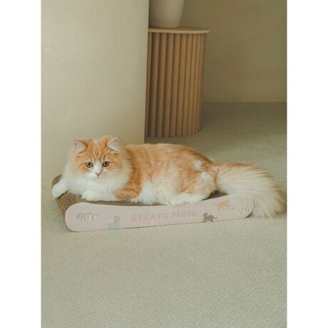 [^ԁFPAGG259038]<b><font color=red>ӎsǕiEƈقȂi͂ꍇȊO̕ԕiE͂󂯂ł܂BCAT&DOGiɊւẮAꂽꍇ͕ԕiEECsɂȂ܂Bql̂siC[WႤATCYȂAsvɂȂjɂԕiE͏Ă܂B<^font><^b><b>yL̃_{[܌oz<^b><b>yDesign^Stylingz<^b>TChɓL̕炵Agelato piqueIWĩ_{[܌ł܂B傫͖W52cm~H7cm~D25cmB̒ňɂXȃTCYŎdグĂ̂|CgłBF̓x[WƃsN2Fpӂ܂BLI[i[ւ̃Mtgɂ߂łBƖ̊֌WɂAۂFČꍇ܂B܂p\REX}[gtHȂǂ̊ɂA኱iƉ摜̃J[قȂꍇ܂B\߂Bi̐F́AiPi摜QƉB i摜̓Tv̂߁AFTCY̎dlɕύXꍇ܂̂ŁA\߂B