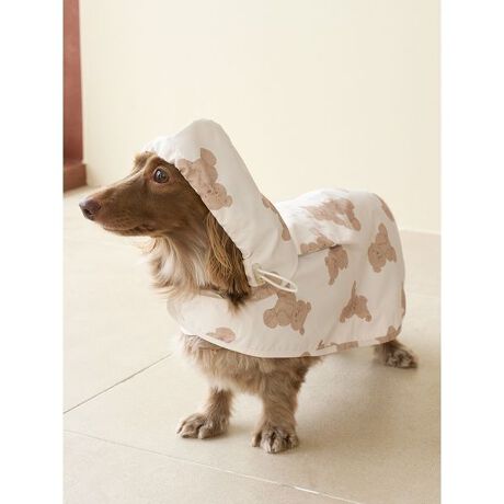 [^ԁFPAGG259035]<b><font color=red>ӎsǕiEƈقȂi͂ꍇȊO̕ԕiE͂󂯂ł܂BCAT&DOGiɊւẮAꂽꍇ͕ԕiEECsɂȂ܂Bql̂siC[WႤATCYȂAsvɂȂjɂԕiE͏Ă܂B<^font><^b><b>yC|`Ƀ_bNXthpTCYVoIz<^b><b>yDesign^Stylingz<^b>yăRpNgɏ߂郌C|`ɁA_bNXthp̃TCYVoꂵ܂Bʃt@Xi[𗯂߂邾Ȃ̂ŒEX[YŁATCYȒPByʂŖgp̓|Pbgɏ[łÂUZbgɓĂΓˑR̉Jɂ܂BTCYMEL2ނpӁBxAA_Ci\[A`[C[xA3炨Iт܂BƖ̊֌WɂAۂFČꍇ܂B܂p\REX}[gtHȂǂ̊ɂA኱iƉ摜̃J[قȂꍇ܂B\߂Bi̐F́AiPi摜QƉB i摜̓Tv̂߁AFTCY̎dlɕύXꍇ܂̂ŁA\߂B