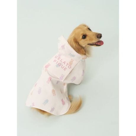 [^ԁFPAGG259035]<b><font color=red>ӎsǕiEƈقȂi͂ꍇȊO̕ԕiE͂󂯂ł܂BCAT&DOGiɊւẮAꂽꍇ͕ԕiEECsɂȂ܂Bql̂siC[WႤATCYȂAsvɂȂjɂԕiE͏Ă܂B<^font><^b><b>yC|`Ƀ_bNXthpTCYVoIz<^b><b>yDesign^Stylingz<^b>yăRpNgɏ߂郌C|`ɁA_bNXthp̃TCYVoꂵ܂Bʃt@Xi[𗯂߂邾Ȃ̂ŒEX[YŁATCYȒPByʂŖgp̓|Pbgɏ[łÂUZbgɓĂΓˑR̉Jɂ܂BTCYMEL2ނpӁBxAA_Ci\[A`[C[xA3炨Iт܂BƖ̊֌WɂAۂFČꍇ܂B܂p\REX}[gtHȂǂ̊ɂA኱iƉ摜̃J[قȂꍇ܂B\߂Bi̐F́AiPi摜QƉB i摜̓Tv̂߁AFTCY̎dlɕύXꍇ܂̂ŁA\߂B