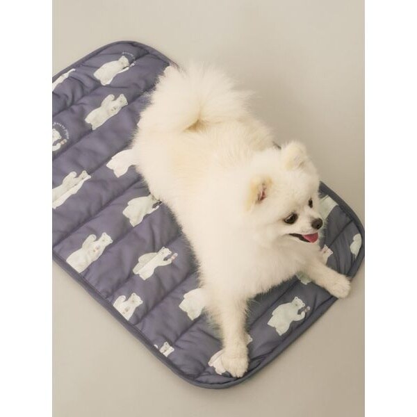 【新品】ジェラートピケ 【CAT＆DOG】ベアモチーフドライブベッド gelato pique（ジェラートピケ）【CAT&DOG】【販路限定商品