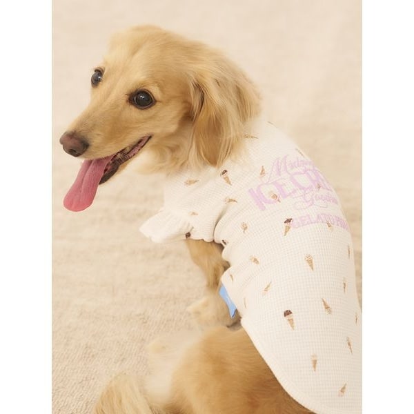 柴犬ジャガードプルオーバー　gelato pique gelato pique｜【CAT&DOG】ベビモコ柴犬ジャガードプルオーバー