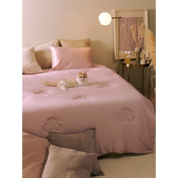 Sleep】ベアジャガードマルチカバー | ジェラート ピケ(gelato pique