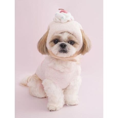 [^ԁFPAGH259136]<b><font color=red>ӎsǕiEƈقȂi͂ꍇȊO̕ԕiE͂󂯂ł܂BCAT&DOGiɊւẮAꂽꍇ͕ԕiEECsɂȂ܂Bql̂siC[WႤATCYȂAsvɂȂjɂԕiE͏Ă܂B<^font><^b><b>yJbvP[L`[t̃o[Xf[CAT&DOGnbgz<^b><b>yDesign^Stylingz<^b>EL̂ajAHAPPYȃ[hς̃o[Xf[V[YłBӂjbggpAJbvP[L`[t̃j[NȃnbgB̏ɂ̓N[ƃ`F[̃`[tBodlŁAŗ߂Ďyɒp܂BV[ỸvI[o[X^Cƍ킹āAa̋LOBeɂ߂łBƖ̊֌WɂAۂFČꍇ܂B܂p\REX}[gtHȂǂ̊ɂA኱iƉ摜̃J[قȂꍇ܂B\߂Bi̐F́AiPi摜QƉB i摜̓Tv̂߁AFTCY̎dlɕύXꍇ܂̂ŁA\߂B