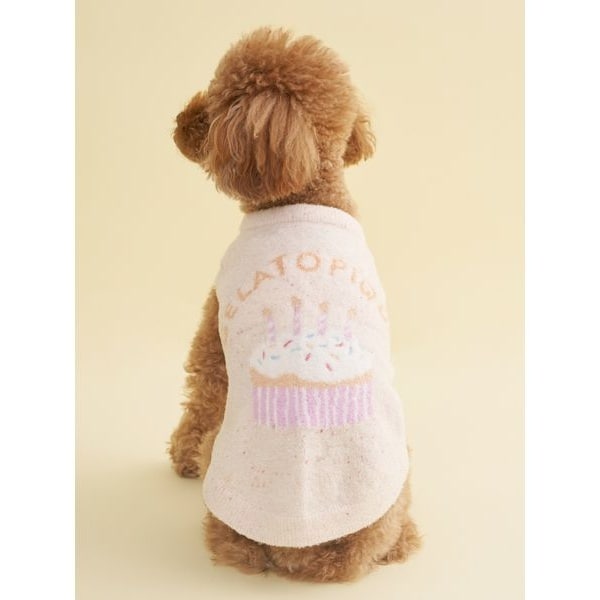 CAT&DOG】【Birthday】スムーズィーカップケーキジャガードプル