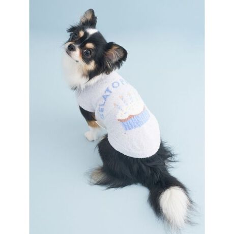 [^ԁFPAGG259131]<b><font color=red>ӎsǕiEƈقȂi͂ꍇȊO̕ԕiE͂󂯂ł܂BCAT&DOGiɊւẮAꂽꍇ͕ԕiEECsɂȂ܂Bql̂siC[WႤATCYȂAsvɂȂjɂԕiE͏Ă܂B<^font><^b><b>yJbvP[L̃o[Xf[CAT&DOGvI[o[z<^b><b>yFabricz<^b><b>SMOOTHIEiX[YB[jc<^b>Ƃ낯悤ȂȂ߂炩ȏ_炩́A܂ŌɊ܂񂾏uԂƂ낯ĂX[YB[̂悤BV[YXɒ锖̑fށB<b>yDesign^Stylingz<^b>EL̂ajAHAPPYȃ[hς̃o[Xf[V[YłBȂ߂炩ȁfX[YB[ffނ̃jbggpvI[o[́AwʂɃpXeJ[̃JbvP[LƃuhSWK[hŃfUCBV[ỸJbvP[LnbgX^CȂǂgݍ킹΁ALb`[ŃL[gȋLOʐ^y݂܂B傤ŐFႢ𑵂̂߂łBƖ̊֌WɂAۂFČꍇ܂B܂p\REX}[gtHȂǂ̊ɂA኱iƉ摜̃J[قȂꍇ܂B\߂Bi̐F́AiPi摜QƉB i摜̓Tv̂߁AFTCY̎dlɕύXꍇ܂̂ŁA\߂B