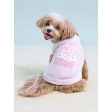 ジェラート ピケ(gelato pique)の【CAT&DOG】【Birthday】スムーズィーカップケーキジャガードプルオーバー
