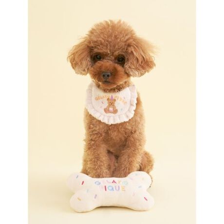 [^ԁFPAGG259135]<b><font color=red>ӎsǕiEƈقȂi͂ꍇȊO̕ԕiE͂󂯂ł܂BCAT&DOGiɊւẮAꂽꍇ͕ԕiEECsɂȂ܂Bql̂siC[WႤATCYȂAsvɂȂjɂԕiE͏Ă܂B<^font><^b><b>yo[Xf[C[WJtȃ{[gCz<^b><b>yDesign^Stylingz<^b>EL̂ajAHAPPYȃ[hς̃o[Xf[V[YłBJtŃL[gȃ{[^̃gCBJTJT钆ނƓJ̉ŁA̋䂫܂BV[ỸEFAG݂킹Ăa̋LOBeAƂMtgɂ߂̃ACełBƖ̊֌WɂAۂFČꍇ܂B܂p\REX}[gtHȂǂ̊ɂA኱iƉ摜̃J[قȂꍇ܂B\߂Bi̐F́AiPi摜QƉB i摜̓Tv̂߁AFTCY̎dlɕύXꍇ܂̂ŁA\߂B