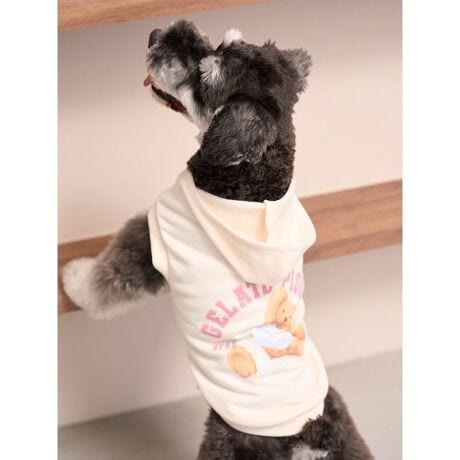 [^ԁFPAGG254589]<b><font color=red>ӎsǕiEƈقȂi͂ꍇȊO̕ԕiE͂󂯂ł܂BCAT&DOGiɊւẮAꂽꍇ͕ԕiEECsɂȂ܂Bql̂siC[WႤATCYȂAsvɂȂjɂԕiE͏Ă܂B<^font><^b><b>yX|[eBxAvgDOGуvI[o[z<^b><b>yFabricz<^b>Rbg̏_炩G̗ёfނgpĂ܂B<b>yDesign^Stylingz<^b>FXȃX|[cyރsPxAe[}ɁAgh̃X|[ceCXgꂽAI[i[ƂŒpDOGpvI[o[łBXgb`̌ёfނgpp[JfUĆAGAR΍Ȃǂɂ߁Bwɂ3ڂ̃X|[c`[tɂxÅGvg܂BG̓{fBJ[ƂɈقȂAAC{[̓Xgb`AO[̓XP[g{[hAlCr[̓x[X{[`[tɂĂ܂B傤eqŐFႢy񂾂ALADIESfAHOMMẼ[EFAƂ̃NR[fBl[gy݂BƖ̊֌WɂAۂFČꍇ܂B܂p\REX}[gtHȂǂ̊ɂA኱iƉ摜̃J[قȂꍇ܂B\߂Bi̐F́AiPi摜QƉB i摜̓Tv̂߁AFTCY̎dlɕύXꍇ܂̂ŁA\߂B