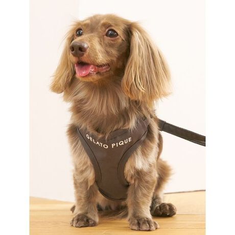 [^ԁFPAGG259119]<b><font color=red>ӎsǕiEƈقȂi͂ꍇȊO̕ԕiE͂󂯂ł܂BCAT&DOGiɊւẮAꂽꍇ͕ԕiEECsɂȂ܂Bql̂siC[WႤATCYȂAsvɂȂjɂԕiE͏Ă܂B<^font><^b><b>ywJfUC̃n[lXz<^b><b>yDesign^Stylingz<^b>ig₷wJfUC̃n[lXłBC␅ɋR[fngpϋvQ̃n[lX́AۗܓꃊbNtƂɂ҂̎dlłBF̓Vvȃ`R[O[ƁAgelato pique炵xÃuE2FpӁBV[Ỹ[hL[obOƑgݍ킹̂߂łBƖ̊֌WɂAۂFČꍇ܂B܂p\REX}[gtHȂǂ̊ɂA኱iƉ摜̃J[قȂꍇ܂B\߂Bi̐F́AiPi摜QƉB i摜̓Tv̂߁AFTCY̎dlɕύXꍇ܂̂ŁA\߂B