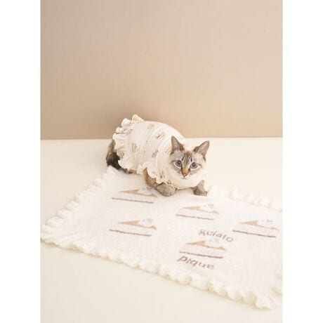 [^ԁFPAGG254573]<b><font color=red>ӎsǕiEƈقȂi͂ꍇȊO̕ԕiE͂󂯂ł܂BCAT&DOGiɊւẮAꂽꍇ͕ԕiEECsɂȂ܂Bql̂siC[WႤATCYȂAsvɂȂjɂԕiE͏Ă܂B<^font><^b><b>yԃP[LWK[hU΂߂CAT&DOGuPbgz<^b><b>yFabricz<^b>Ȃ߂炩ȔǴfX[YB[f𔖎ɎdグjbggpĂ܂B<b>yDesign^Stylingz<^b>`[YP[LA`R[gP[LAC`S̃V[gP[LB݂ȑDȒԃP[L`[tɂÁfX[YB[ffނ̃ybgpuPbgłB[Ƀtt炵fUCȂAF݂ŏH̃CeAɂ}b`Byʂŏ߂̂łoɂd󂵂܂BF̓`[YP[L̃N[ƃ`R[gP[L̃sNAV[gP[L̃bh̑S3FBV[ỸEFADOGgCƑgݍ킹āAH̃R[fBl[gy݂BƖ̊֌WɂAۂFČꍇ܂B܂p\REX}[gtHȂǂ̊ɂA኱iƉ摜̃J[قȂꍇ܂B\߂Bi̐F́AiPi摜QƉB i摜̓Tv̂߁AFTCY̎dlɕύXꍇ܂̂ŁA\߂B