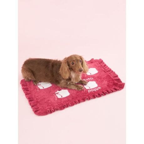 [^ԁFPAGG254573]<b><font color=red>ӎsǕiEƈقȂi͂ꍇȊO̕ԕiE͂󂯂ł܂BCAT&DOGiɊւẮAꂽꍇ͕ԕiEECsɂȂ܂Bql̂siC[WႤATCYȂAsvɂȂjɂԕiE͏Ă܂B<^font><^b><b>yԃP[LWK[hU΂߂CAT&DOGuPbgz<^b><b>yFabricz<^b>Ȃ߂炩ȔǴfX[YB[f𔖎ɎdグjbggpĂ܂B<b>yDesign^Stylingz<^b>`[YP[LA`R[gP[LAC`S̃V[gP[LB݂ȑDȒԃP[L`[tɂÁfX[YB[ffނ̃ybgpuPbgłB[Ƀtt炵fUCȂAF݂ŏH̃CeAɂ}b`Byʂŏ߂̂łoɂd󂵂܂BF̓`[YP[L̃N[ƃ`R[gP[L̃sNAV[gP[L̃bh̑S3FBV[ỸEFADOGgCƑgݍ킹āAH̃R[fBl[gy݂BƖ̊֌WɂAۂFČꍇ܂B܂p\REX}[gtHȂǂ̊ɂA኱iƉ摜̃J[قȂꍇ܂B\߂Bi̐F́AiPi摜QƉB i摜̓Tv̂߁AFTCY̎dlɕύXꍇ܂̂ŁA\߂B