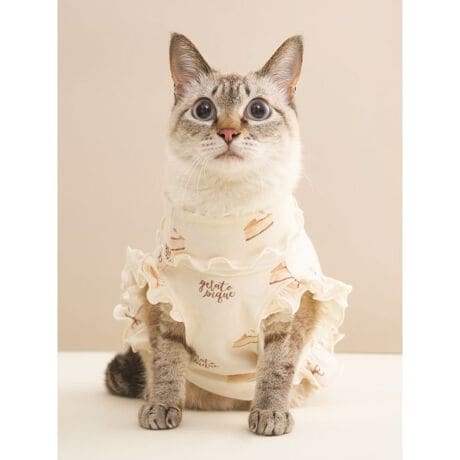 [^ԁFPAGG254575]<b><font color=red>ӎsǕiEƈقȂi͂ꍇȊO̕ԕiE͂󂯂ł܂BCAT&DOGiɊւẮAꂽꍇ͕ԕiEECsɂȂ܂Bql̂siC[WႤATCYȂAsvɂȂjɂԕiE͏Ă܂B<^font><^b><b>yԃP[L̑vgDOGtvI[o[z<^b><b>yFabricz<^b>Rbgƃ[a_炩G̃xAVgp܂B<b>yDesign^Stylingz<^b>`[YP[LA`R[gP[LAC`S̃V[gP[LB݂ȑDȒԃP[L𑍕vgɂAȂ߂炩ȃxAVDOGpvI[o[łB񌳂⑳Ƀtt炵fUCȂAHɎFBF̓`[YP[L̃N[ƃ`R[gP[L̃sNAV[gP[L̃bh̑S3Fpӂ܂BV[ỸuPbgDOGgCƑgݍ킹āAH̃R[fBl[gy݂BƖ̊֌WɂAۂFČꍇ܂B܂p\REX}[gtHȂǂ̊ɂA኱iƉ摜̃J[قȂꍇ܂B\߂Bi̐F́AiPi摜QƉB i摜̓Tv̂߁AFTCY̎dlɕύXꍇ܂̂ŁA\߂B