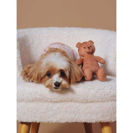 [^ԁFPAGG254584]<b><font color=red>ӎsǕiEƈقȂi͂ꍇȊO̕ԕiE͂󂯂ł܂BCAT&DOGiɊւẮAꂽꍇ͕ԕiEECsɂȂ܂Bql̂siC[WႤATCYȂAsvɂȂjɂԕiE͏Ă܂B<^font><^b><b>yShJ̃\tgȃxAʂ݌^DOGgCz<^b><b>yDesign^Stylingz<^b>ɓWJxAvI[o[V[YƓxA`[tɂAӂ_炩ȑfނDOGgCłB̋䂫JƁAJTJT钆ޓBɏH炵J[OŃuhShJACeAƂĂdグ܂BlC̃xA`[t́AMtgɂ߂łBƖ̊֌WɂAۂFČꍇ܂B܂p\REX}[gtHȂǂ̊ɂA኱iƉ摜̃J[قȂꍇ܂B\߂Bi̐F́AiPi摜QƉB i摜̓Tv̂߁AFTCY̎dlɕύXꍇ܂̂ŁA\߂B