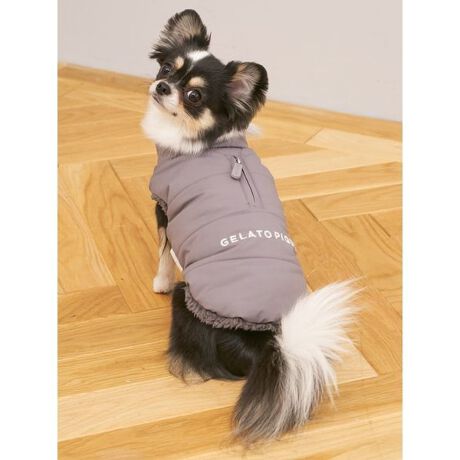 [^ԁFPAGG254587]<b><font color=red>ӎsǕiEƈقȂi͂ꍇȊO̕ԕiE͂󂯂ł܂BCAT&DOGiɊւẮAꂽꍇ͕ԕiEECsɂȂ܂Bql̂siC[WႤATCYȂAsvɂȂjɂԕiE͏Ă܂B<^font><^b><b>y3̐VFIׂ钆ȓxXgS`Lz<^b><b>yDesign^Stylingz<^b>ND]ACAT&DOGp̒ȓxXgVȐFŐVoꂵ܂BS`L͒^LA^܂łɂ傤ǗǂTCYBӂƌyfފŁAUɔȂĂȂǁAn[lX𒅂ォ炳ƒ邱Ƃł܂BUɂ߂1łBƖ̊֌WɂAۂFČꍇ܂B܂p\REX}[gtHȂǂ̊ɂA኱iƉ摜̃J[قȂꍇ܂B\߂Bi̐F́AiPi摜QƉB i摜̓Tv̂߁AFTCY̎dlɕύXꍇ܂̂ŁA\߂B