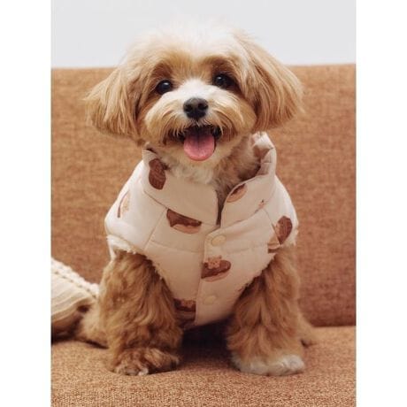 [^ԁFPAGG254587]<b><font color=red>ӎsǕiEƈقȂi͂ꍇȊO̕ԕiE͂󂯂ł܂BCAT&DOGiɊւẮAꂽꍇ͕ԕiEECsɂȂ܂Bql̂siC[WႤATCYȂAsvɂȂjɂԕiE͏Ă܂B<^font><^b><b>y3̐VFIׂ钆ȓxXgS`Lz<^b><b>yDesign^Stylingz<^b>ND]ACAT&DOGp̒ȓxXgVȐFŐVoꂵ܂BS`L͒^LA^܂łɂ傤ǗǂTCYBӂƌyfފŁAUɔȂĂȂǁAn[lX𒅂ォ炳ƒ邱Ƃł܂BUɂ߂1łBƖ̊֌WɂAۂFČꍇ܂B܂p\REX}[gtHȂǂ̊ɂA኱iƉ摜̃J[قȂꍇ܂B\߂Bi̐F́AiPi摜QƉB i摜̓Tv̂߁AFTCY̎dlɕύXꍇ܂̂ŁA\߂B