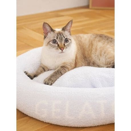 [^ԁFPAGG259111]<b><font color=red>ӎsǕiEƈقȂi͂ꍇȊO̕ԕiE͂󂯂ł܂BCAT&DOGiɊւẮAꂽꍇ͕ԕiEECsɂȂ܂Bql̂siC[WႤATCYȂAsvɂȂjɂԕiE͏Ă܂B<^font><^b><b>ylC̃xrRxbĥЂƎ菬TCYoz<^b><b>yFabricz<^b><b>BABY MOCOixrRjc<^b>Ƃ_炩ȕB݂ƌy₩˔Sn͂łB <b>yDesign^Stylingz<^b>̏_炩ŐlĆfxrRffނɃlbvꂽAVvȃEh^̃ybgpxbhɏ߃TCYVoBEFATCYS`MTCY̌ALɂ傤ǗǂTCYŁAɃJo[OĐ􂦂VdlɂȂ܂B̒Ȃl߂ӂƂQSnłB̑fނgpxrRlbvvI[o[Ƃ̃R[fBl[g߂łBƖ̊֌WɂAۂFČꍇ܂B܂p\REX}[gtHȂǂ̊ɂA኱iƉ摜̃J[قȂꍇ܂B\߂Bi̐F́AiPi摜QƉB i摜̓Tv̂߁AFTCY̎dlɕύXꍇ܂̂ŁA\߂B