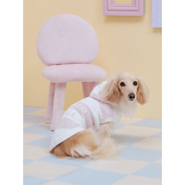 sale☆子犬わたあめ13㎝用☆アウトフィットP＋たっち靴☆４点set☆ CAT&DOG】スムーズィーダックスサイズ2ボーダーフーディー