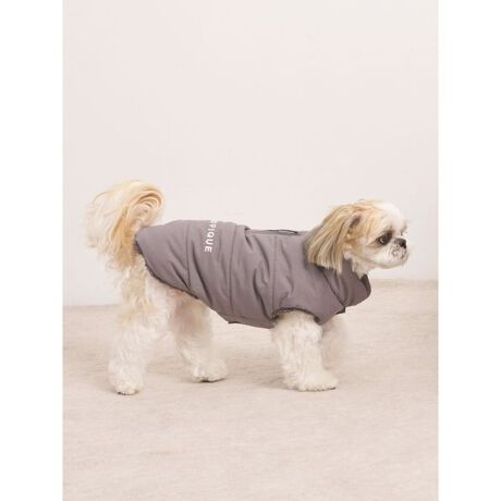 [^ԁFPAGG254588]<b><font color=red>ӎsǕiEƈقȂi͂ꍇȊO̕ԕiE͂󂯂ł܂BCAT&DOGiɊւẮAꂽꍇ͕ԕiEECsɂȂ܂Bql̂siC[WႤATCYȂAsvɂȂjɂԕiE͏Ă܂B<^font><^b><b>y3̐VFIׂ钆ȓxXgXLEXXLz<^b><b>yDesign^Stylingz<^b>ND]ADOGp̒ȓxXgVȐFŐVoꂵ܂BXLAXXL͑傫߂̏^璆^܂łɒpTCYBӂƌyfފŁAUɔȂĂȂǁAn[lX𒅂ォ炳ƒ邱Ƃł܂BUɂ߂1łBƖ̊֌WɂAۂFČꍇ܂B܂p\REX}[gtHȂǂ̊ɂA኱iƉ摜̃J[قȂꍇ܂B\߂Bi̐F́AiPi摜QƉB i摜̓Tv̂߁AFTCY̎dlɕύXꍇ܂̂ŁA\߂B