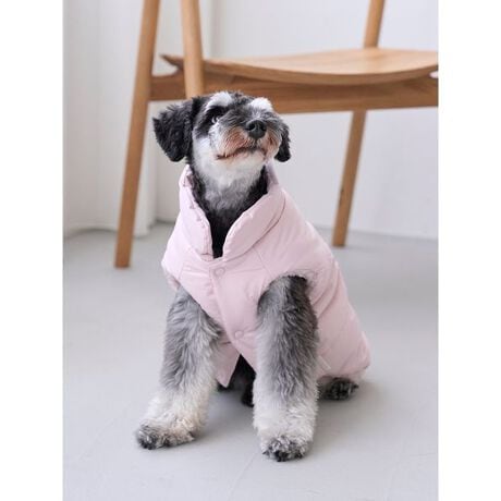 [^ԁFPAGG254588]<b><font color=red>ӎsǕiEƈقȂi͂ꍇȊO̕ԕiE͂󂯂ł܂BCAT&DOGiɊւẮAꂽꍇ͕ԕiEECsɂȂ܂Bql̂siC[WႤATCYȂAsvɂȂjɂԕiE͏Ă܂B<^font><^b><b>y3̐VFIׂ钆ȓxXgXLEXXLz<^b><b>yDesign^Stylingz<^b>ND]ADOGp̒ȓxXgVȐFŐVoꂵ܂BXLAXXL͑傫߂̏^璆^܂łɒpTCYBӂƌyfފŁAUɔȂĂȂǁAn[lX𒅂ォ炳ƒ邱Ƃł܂BUɂ߂1łBƖ̊֌WɂAۂFČꍇ܂B܂p\REX}[gtHȂǂ̊ɂA኱iƉ摜̃J[قȂꍇ܂B\߂Bi̐F́AiPi摜QƉB i摜̓Tv̂߁AFTCY̎dlɕύXꍇ܂̂ŁA\߂B