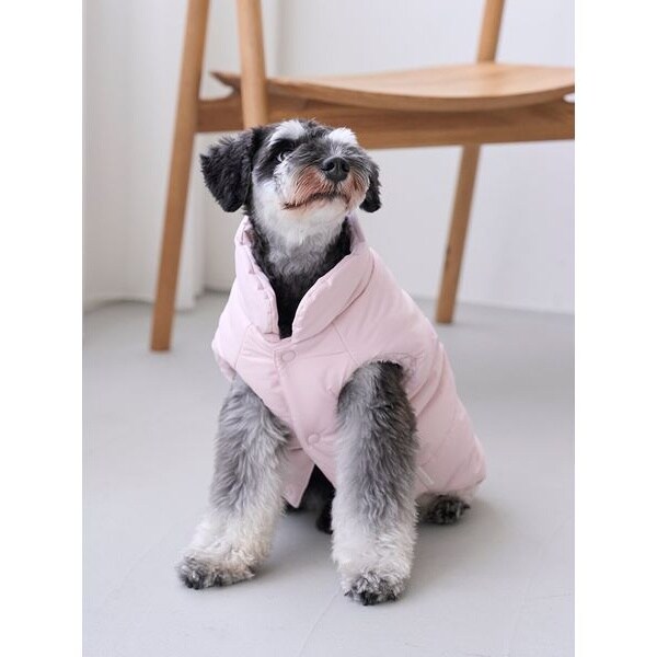 CAT＆DOG】ベアモチーフドライブベッド | ジェラート ピケ(gelato