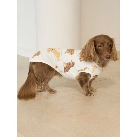 [^ԁFPAGG255597]<b><font color=red>ӎsǕiEƈقȂi͂ꍇȊO̕ԕiE͂󂯂ł܂BCAT&DOGiɊւẮAꂽꍇ͕ԕiEECsɂȂ܂Bql̂siC[WႤATCYȂAsvɂȂjɂԕiE͏Ă܂B<^font><^b><b>ygՂȃ_bNXthvg̃Jbg\[vI[o[z<^b><b>yDesign^Stylingz<^b>_bNXthI[i[̕ɂЂ߂Aȕ\̃_bNX𑍕vgvI[o[łB߂ĂqAƐQׂĂqȂǁA_bNXth炵d|[YɂL[gȊGU΂߂܂BKxȌ݂̏_炩Jbg\[fނȂ̂ŁAI[V[YŒp܂BF̓sNƃItzCg2FpӁBI[i[l̃[EFAƂŃR[fBl[g\ȃACełBƖ̊֌WɂAۂFČꍇ܂B܂p\REX}[gtHȂǂ̊ɂA኱iƉ摜̃J[قȂꍇ܂B\߂Bi̐F́AiPi摜QƉB i摜̓Tv̂߁AFTCY̎dlɕύXꍇ܂̂ŁA\߂B