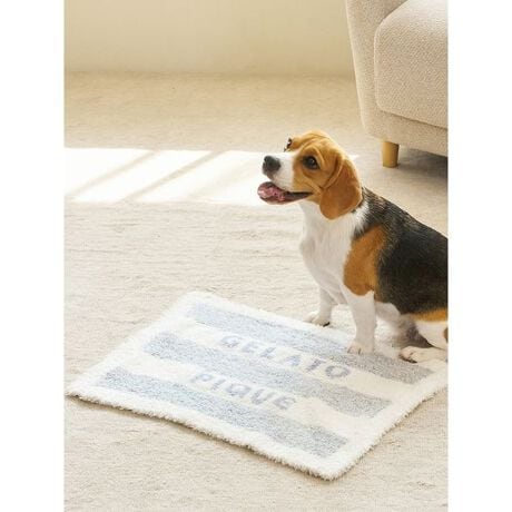 [^ԁFPAGG255573]<b><font color=red>ӎsǕiEƈقȂi͂ꍇȊO̕ԕiE͂󂯂ł܂BCAT&DOGiɊւẮAꂽꍇ͕ԕiEECsɂȂ܂Bql̂siC[WႤATCYȂAsvɂȂjɂԕiE͏Ă܂B<^font><^b><b>yWJ[̃WF[g2{[_[uPbgz<^b><b>yFabricz<^b><b>GELATOiWF[gjc<^b>uh̑㖼łfށB܂łӂƏĂꂽP[LX|Ŵ悤ȁAx痣邱ƂłȂ_炩B<b>yDesign^Stylingz<^b>ԐlC&lsquo;WF[gfgp2F{[_[V[YAN̓jAX̂郁WJ[œoꂵ܂BŜɑ傫ȃSWK[hvXAACRjbNȃfUC̃uPbgBybgpNbVP[Wɕ~AhCuȂǂo̗₦h~ɂgpACełBF̓u[AuEAsN3Fpӂ܂BV[Ỹ}t[vI[o[ƃR[fBl[gAMtgɂ߂̃ACełBƖ̊֌WɂAۂFČꍇ܂B܂p\REX}[gtHȂǂ̊ɂA኱iƉ摜̃J[قȂꍇ܂B\߂Bi̐F́AiPi摜QƉB i摜̓Tv̂߁AFTCY̎dlɕύXꍇ܂̂ŁA\߂B