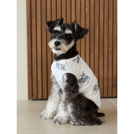 [^ԁFPAGG255596]<b><font color=red>ӎsǕiEƈقȂi͂ꍇȊO̕ԕiE͂󂯂ł܂BCAT&DOGiɊւẮAꂽꍇ͕ԕiEECsɂȂ܂Bql̂siC[WႤATCYȂAsvɂȂjɂԕiE͏Ă܂B<^font><^b><b>y\LȃViEU[vg̃Jbg\[vI[o[z<^b><b>yDesign^Stylingz<^b>ViEU[I[i[̕ɂЂ߂Aȕ\̃ViEU[𑍕vgvI[o[łB߂ĂqAyĐQĂ܂qȂǁAViEU[炵d|[YɂL[gȊGU΂߂܂BKxȌ݂̏_炩Jbg\[fނȂ̂ŁAI[V[YŒp܂BF̓sNƃItzCg2FpӁBI[i[l̃[EFAƂŃR[fBl[g\ȃACełBƖ̊֌WɂAۂFČꍇ܂B܂p\REX}[gtHȂǂ̊ɂA኱iƉ摜̃J[قȂꍇ܂B\߂Bi̐F́AiPi摜QƉB i摜̓Tv̂߁AFTCY̎dlɕύXꍇ܂̂ŁA\߂B