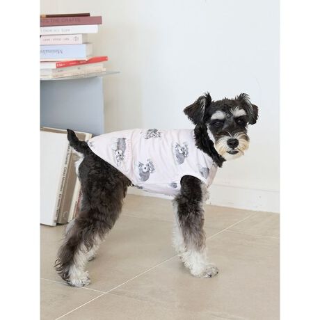 [^ԁFPAGG255596]<b><font color=red>ӎsǕiEƈقȂi͂ꍇȊO̕ԕiE͂󂯂ł܂BCAT&DOGiɊւẮAꂽꍇ͕ԕiEECsɂȂ܂Bql̂siC[WႤATCYȂAsvɂȂjɂԕiE͏Ă܂B<^font><^b><b>y\LȃViEU[vg̃Jbg\[vI[o[z<^b><b>yDesign^Stylingz<^b>ViEU[I[i[̕ɂЂ߂Aȕ\̃ViEU[𑍕vgvI[o[łB߂ĂqAyĐQĂ܂qȂǁAViEU[炵d|[YɂL[gȊGU΂߂܂BKxȌ݂̏_炩Jbg\[fނȂ̂ŁAI[V[YŒp܂BF̓sNƃItzCg2FpӁBI[i[l̃[EFAƂŃR[fBl[g\ȃACełBƖ̊֌WɂAۂFČꍇ܂B܂p\REX}[gtHȂǂ̊ɂA኱iƉ摜̃J[قȂꍇ܂B\߂Bi̐F́AiPi摜QƉB i摜̓Tv̂߁AFTCY̎dlɕύXꍇ܂̂ŁA\߂B