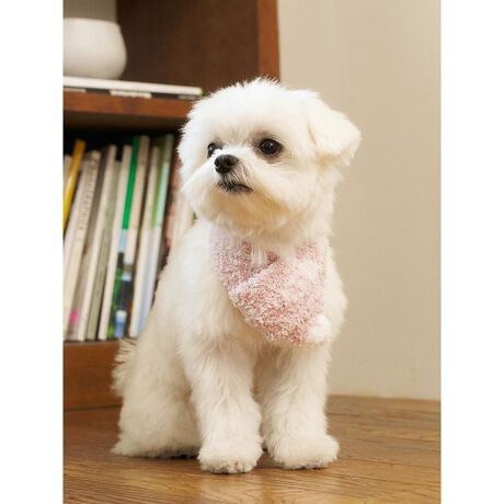 [^ԁFPAGG255572]<b><font color=red>ӎsǕiEƈقȂi͂ꍇȊO̕ԕiE͂󂯂ł܂BCAT&DOGiɊւẮAꂽꍇ͕ԕiEECsɂȂ܂Bql̂siC[WႤATCYȂAsvɂȂjɂԕiE͏Ă܂B<^font><^b><b>y||WJ[̃WF[g}t[z<^b><b>yFabricz<^b><b>GELATOiWF[gjc<^b>uh̑㖼łfށB܂łӂƏĂꂽP[LX|Ŵ悤ȁAx痣邱ƂłȂ_炩B<b>yDesign^Stylingz<^b>ԐlC&lsquo;WF[gfgpV[YAN̓jAX̂郁WJ[œoꂵ܂BŜɑ傫ȃSWK[hvXAND]}t[łBNSEMɉāA傫߂LTCY3TCYWJB[Ƀ||tĂAU̗₦h~ɂ͂Aʐ^ɂffUCłBF̓u[AsN2FpӁBV[ỸvI[o[uPbgƃR[fBl[gAMtgɂ߂̃ACełBƖ̊֌WɂAۂFČꍇ܂B܂p\REX}[gtHȂǂ̊ɂA኱iƉ摜̃J[قȂꍇ܂B\߂Bi̐F́AiPi摜QƉB i摜̓Tv̂߁AFTCY̎dlɕύXꍇ܂̂ŁA\߂B