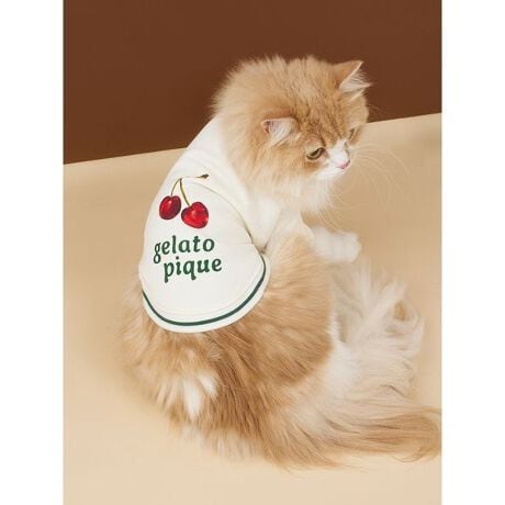 [^ԁFPAGG255594]<b><font color=red>ӎsǕiEƈقȂi͂ꍇȊO̕ԕiE͂󂯂ł܂BCAT&DOGiɊւẮAꂽꍇ͕ԕiEECsɂȂ܂Bql̂siC[WႤATCYȂAsvɂȂjɂԕiE͏Ă܂B<^font><^b><b>y`F[vg̃JWAȗуvI[o[z<^b><b>yDesign^Stylingz<^b>lۂF̃`F[ƃSvgvI[o[B񌳂ƑAɃCꂽJWAȃeCXgAۂfUCłBF̓ItzCgƃuE2Fpӂ܂BɓWJ`F[UNISEX[EFAƘAACeȂ̂ŁAI[i[lƂ̃NER[fBl[g\Bj̃I[i[lɂ߂̃ACełBƖ̊֌WɂAۂFČꍇ܂B܂p\REX}[gtHȂǂ̊ɂA኱iƉ摜̃J[قȂꍇ܂B\߂Bi̐F́AiPi摜QƉB i摜̓Tv̂߁AFTCY̎dlɕύXꍇ܂̂ŁA\߂B