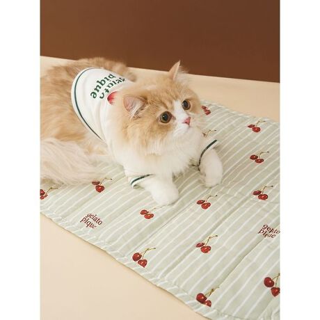 [^ԁFPAGG255595]<b><font color=red>ӎsǕiEƈقȂi͂ꍇȊO̕ԕiE͂󂯂ł܂BCAT&DOGiɊւẮAꂽꍇ͕ԕiEECsɂȂ܂Bql̂siC[WႤATCYȂAsvɂȂjɂԕiE͏Ă܂B<^font><^b><b>y}bgg[jOɂ߂̃JtF}bgz<^b><b>yDesign^Stylingz<^b>H炵J[OɁA`F[ƃSvgU΂߂JtF}bgB̃}bgg[jOɂ߂̃ACeŁAyʂŃRpNgɏ߂̂łoɂCyɌgтĂ܂Bꂪ₷H\nɎ{A@ł̂ꂪ\łBɓWJ`F[UNISEX[EFAƘAACeȂ̂ŁAI[i[lƂ̃NER[fBl[g\łBƖ̊֌WɂAۂFČꍇ܂B܂p\REX}[gtHȂǂ̊ɂA኱iƉ摜̃J[قȂꍇ܂B\߂Bi̐F́AiPi摜QƉB i摜̓Tv̂߁AFTCY̎dlɕύXꍇ܂̂ŁA\߂B