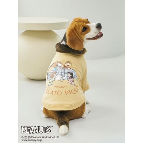 [^ԁFPAGG255583]<b><font color=red>ӎsǕiEƈقȂi͂ꍇȊO̕ԕiE͂󂯂ł܂BCAT&DOGiɊւẮAꂽꍇ͕ԕiEECsɂȂ܂Bql̂siC[WႤATCYȂAsvɂȂjɂԕiE͏Ă܂B<^font><^b><b>yPEANUTS E gelato piquẽIWi`NEԂHAPPYȖ`傫ߗуvI[o[z<^b><b>yFabricz<^b>G肪_炩ARbg̗ёfނgp܂B<b>yDesign^Stylingz<^b>PEANUTSgelato piquẽR{[VV[YAt@~[ły݂V삪oBPEANUTS̒ԂA₷ݑO̍KȂЂƂƂ߂lqgelato pique̓ʂȃIWiA[gŕ\vI[o[łBCɂȂn߂鎞ɂ傤ǗǂÂ݂闠ёfނgp܂BXk[s[T[EuEȂǁAȂ݂̃LN^[xbh̎ɑWB̃{[_[ACe𒅗pĖAxbhŃACXHׂAvvɉ߂Ԃ̕\ɂڂB13C`r[OA~j`AViEU[ȂǂɑΉXLTCY̓WJłBF̓sNƃCG[2FpӁBfB[XTCỸ[EFAƂ̃R[fBl[gy݂ACełBƖ̊֌WɂAۂFČꍇ܂B܂p\REX}[gtHȂǂ̊ɂA኱iƉ摜̃J[قȂꍇ܂B\߂Bi̐F́AiPi摜QƉB i摜̓Tv̂߁AFTCY̎dlɕύXꍇ܂̂ŁA\߂B