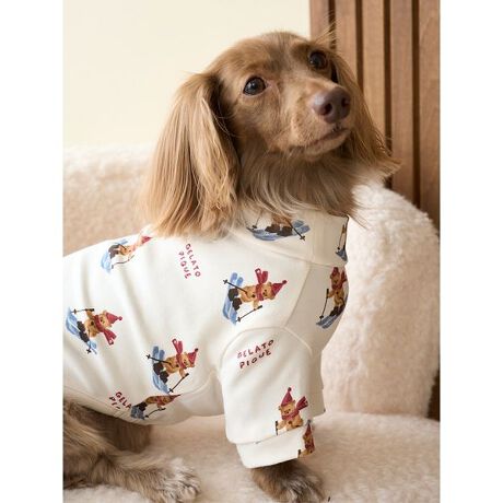 [^ԁFPAGG255569]<b><font color=red>ӎsǕiEƈقȂi͂ꍇȊO̕ԕiE͂󂯂ł܂BCAT&DOGiɊւẮAꂽꍇ͕ԕiEECsɂȂ܂Bql̂siC[WႤATCYȂAsvɂȂjɂԕiE͏Ă܂B<^font><^b><b>yHOLIDAYELb`[ȃXL[xAvg̃Jbg\[z<^b><b>yDesign^Stylingz<^b>ƑFlA؂ȒNƉ߂ȃzf[V[YɊYAXL[xAvg̃hbOvI[o[łBDuƃXL[yރxA𑍕vgBXɓꂽԂSƁAxA̐ԂjbgLbv}t[NLb`[ȕłBI[i[l̃[EFAƂŃR[fBl[gĂ܂BƖ̊֌WɂAۂFČꍇ܂B܂p\REX}[gtHȂǂ̊ɂA኱iƉ摜̃J[قȂꍇ܂B\߂Bi̐F́AiPi摜QƉB i摜̓Tv̂߁AFTCY̎dlɕύXꍇ܂̂ŁA\߂B