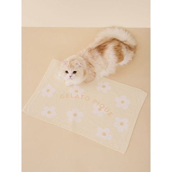 CAT&DOG】スムーズィーフラワージャガードブランケット | ジェラート